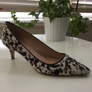 NWB J Crew Collection kitten heel